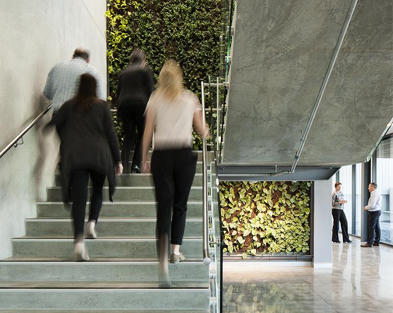 Workspace and Office Design Projects in New Zealand: Synlait